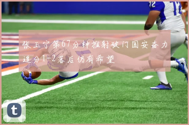 张玉宁第67分钟推射破门国安奋力追分1-2落后仍有希望